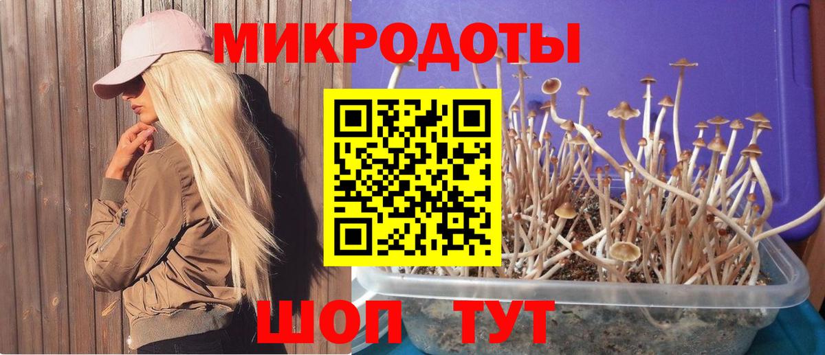 Галлюциногенные грибы мухоморы  Псилоцибиновые грибы Psilocybe  Шатура  закладка  Вход с VPN 