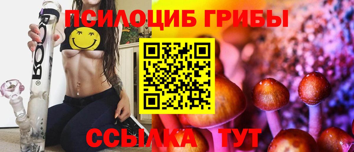 Галлюциногенные грибы мухоморы Шатура